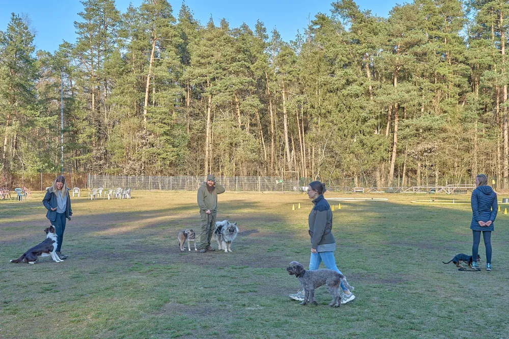 Ein gutes Miteinander ist wichtig: Hund mit Frauchen/Herrchen, sowie Hund mit anderen Hunden
